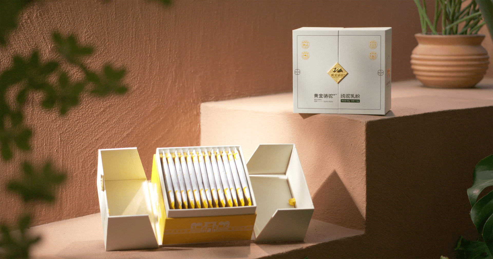 定位小众高端乳粉，凯发k8国际推出驼奶品牌“黄金骆驼+”，角逐乳品新市场！